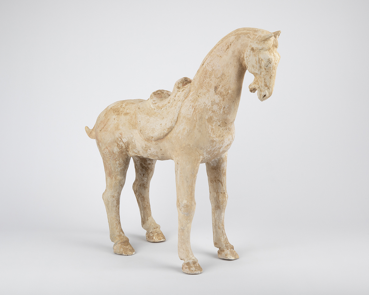 Horse, China, early Tang dynasty (680–720 CE) 