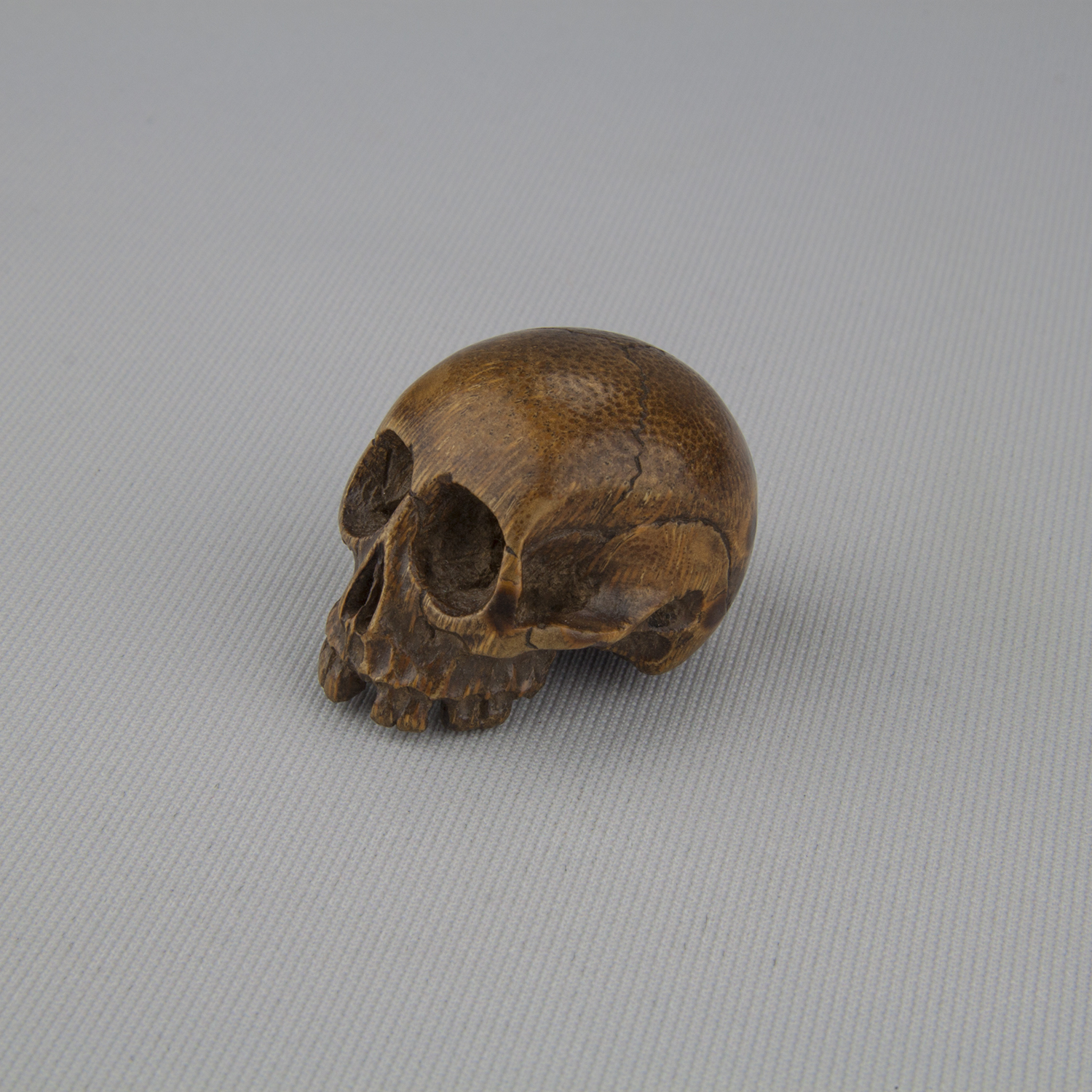 Netsuke depicting a human skull, ca. 18th–19th century, bamboo root, The Herman D. Doochin Collection, 1992.157