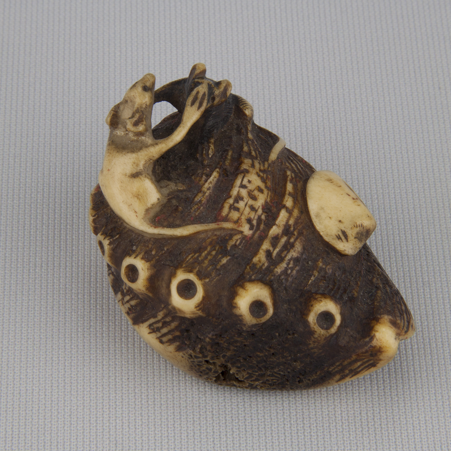 Netsuke depicting two rats fighting on an abalone shell, ca. 18th–19th century, Ivory, The Herman D. Doochin Collection, 1992.172