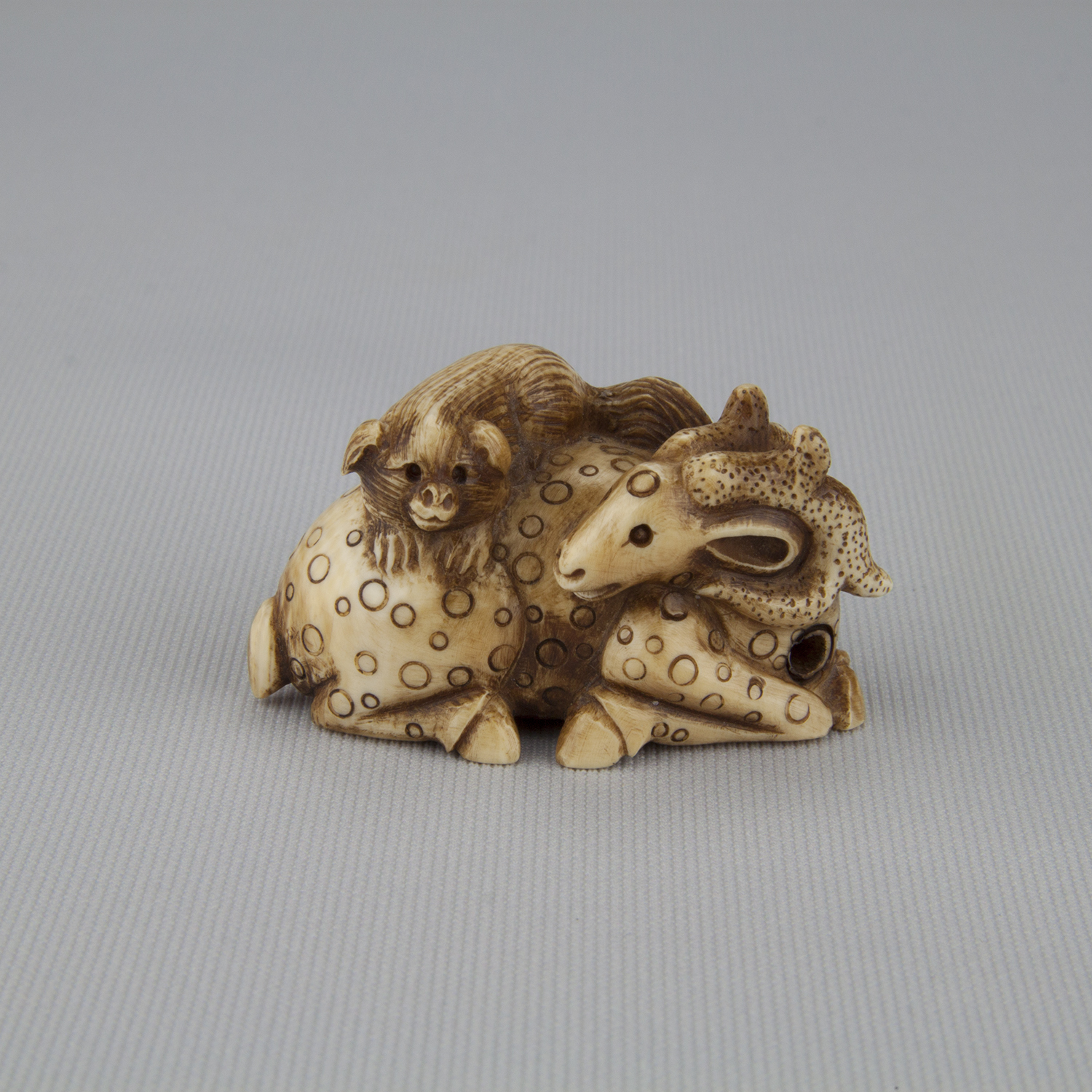 Netsuke depicting two animals, ca. 18th–19th century, Ivory, Gift of Mr. and Mrs. Nathaniel I. Grey, 1988.119